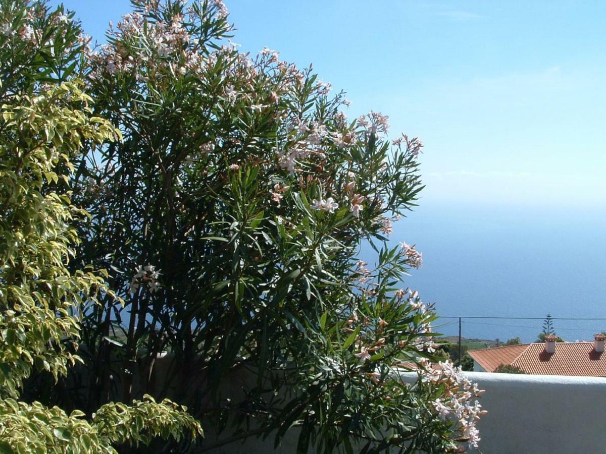 Casa Los Vinedos B Fuencaliente de la Palma Εξωτερικό φωτογραφία