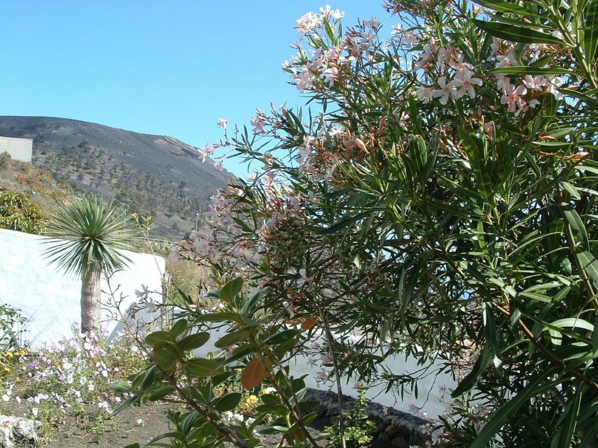 Casa Los Vinedos B Fuencaliente de la Palma Εξωτερικό φωτογραφία